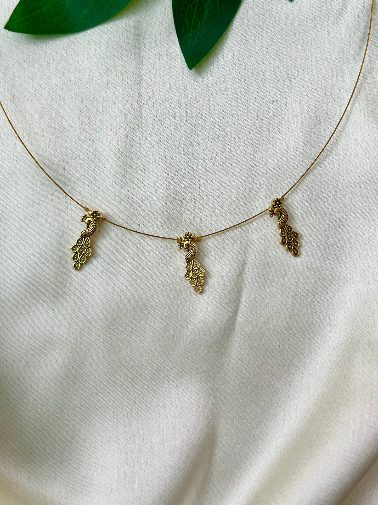Golden peacock