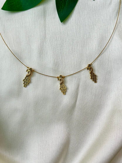 Golden peacock