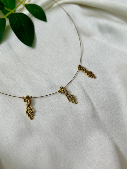 Golden peacock
